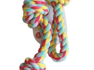 Pull and play dog toy