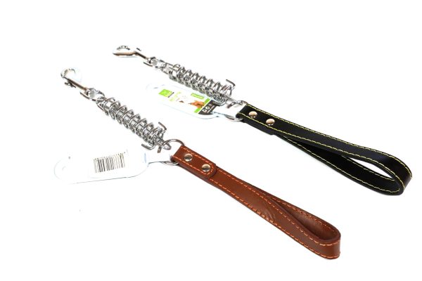 Leather leash with holder