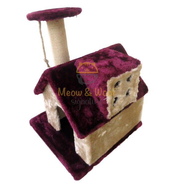 Golden home with paw through scratcher - Image 2