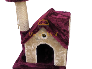 Golden home with paw through scratcher
