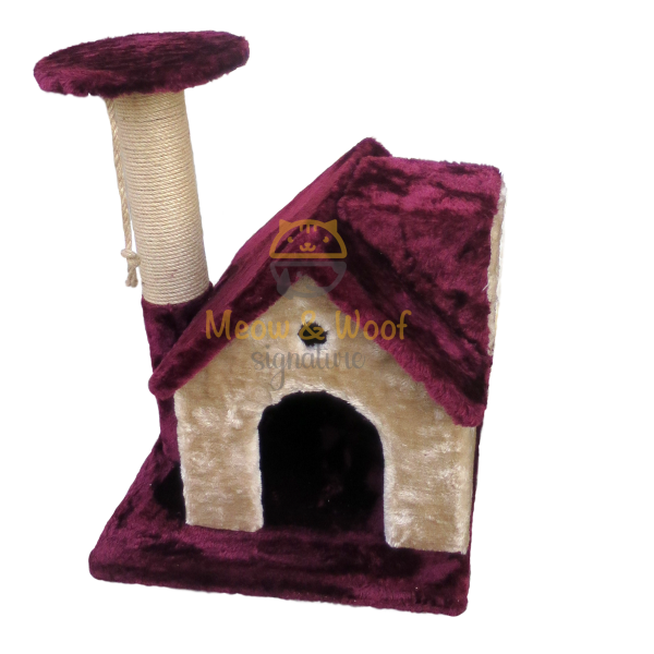 Golden home with paw through scratcher