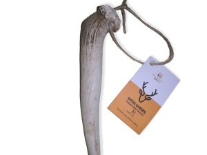 DEER ANTLER M