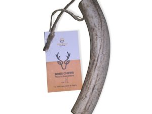 DEER ANTLER M