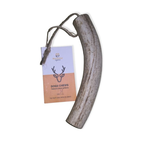 DEER ANTLER M