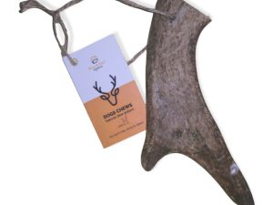 DEER ANTLER M