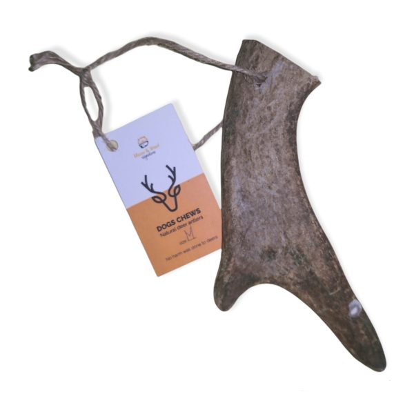 DEER ANTLER M