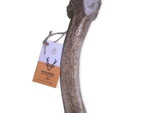 DEER ANTLER XL
