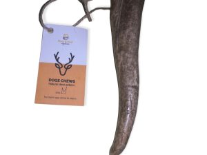 DEER ANTLER M