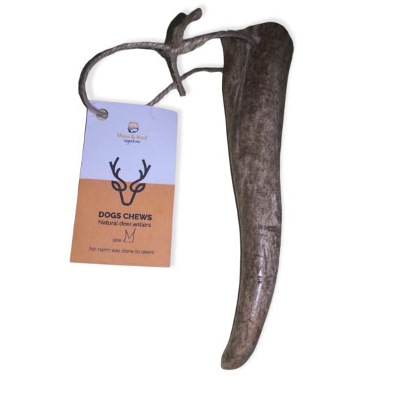 DEER ANTLER M