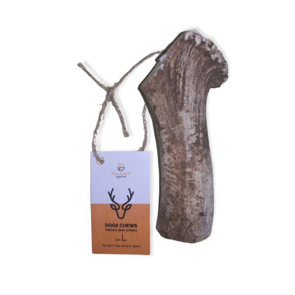 DEER ANTLER L