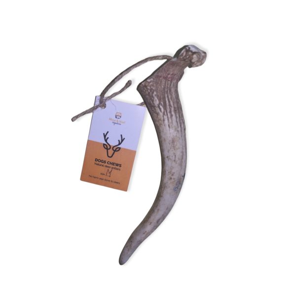 DEER ANTLER M