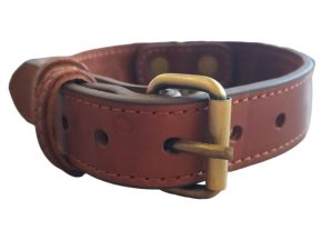 real leather collar medium