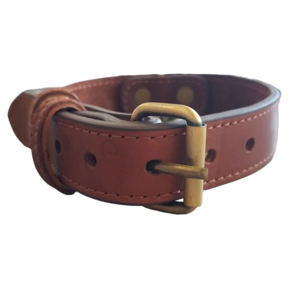 real leather collar medium