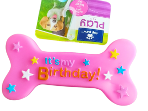 Happy Birthday Squeaky Toy