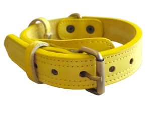 real leather collar double sided medium