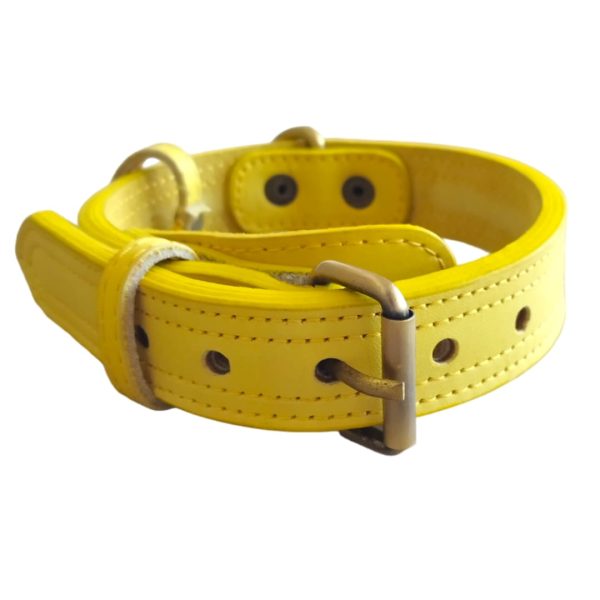 real leather collar double sided medium