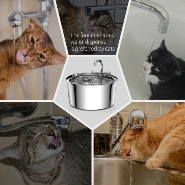 FAUCET STYLE STAINLESS STEEL PET FOUNTAIN 3.2 L - Image 6