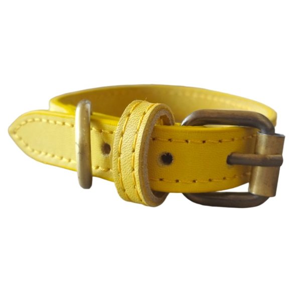 real leather collar x-small