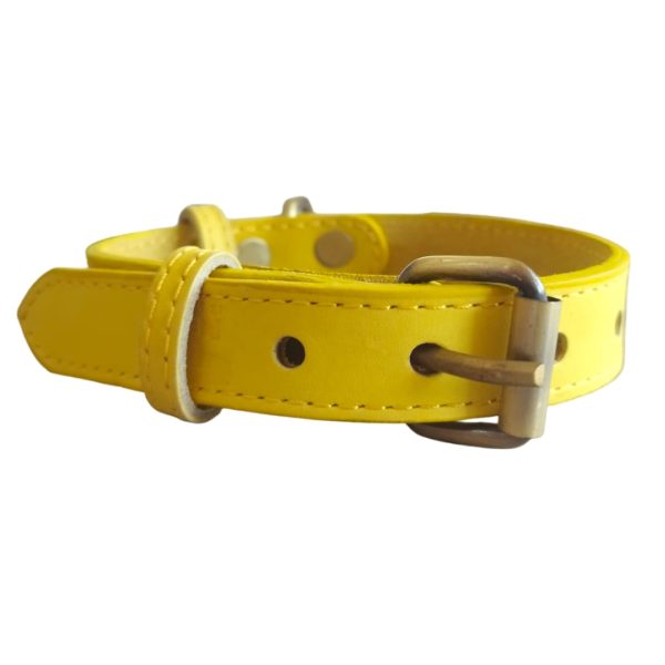 real leather collar small - Image 2