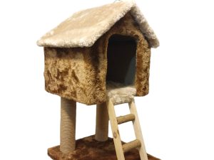 Catnap House Retreat