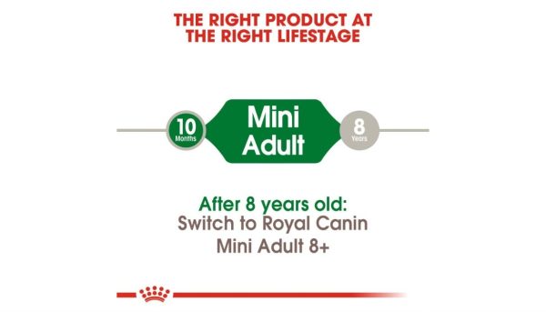 Royal Canin Mini Adult Dog's Food - Image 5