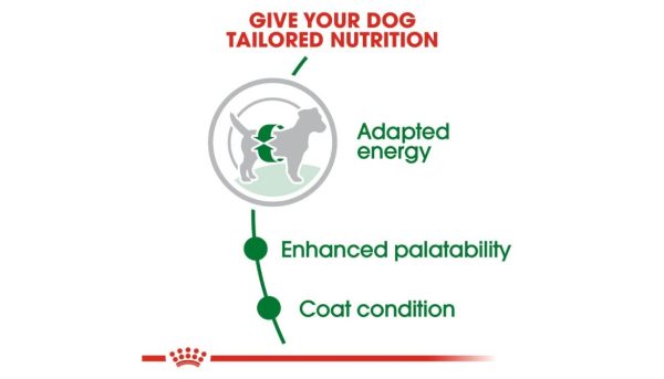 Royal Canin Mini Adult Dog's Food - Image 2