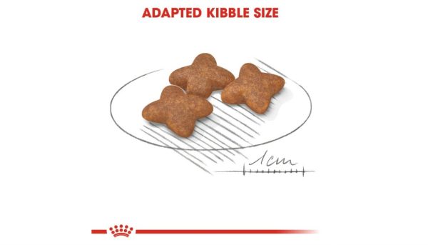 Royal Canin Mini Adult Dog's Food - Image 4
