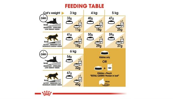 Royal Canin Persian Cat - Image 2