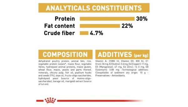 Royal Canin Persian Cat - Image 3