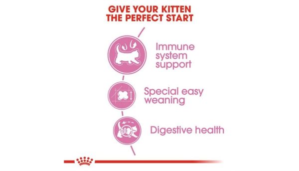 Royal Canin Mother & Baby - Image 3