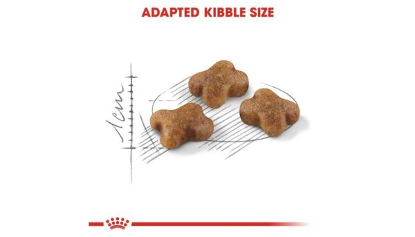 Royal Canin Kitten - Image 6