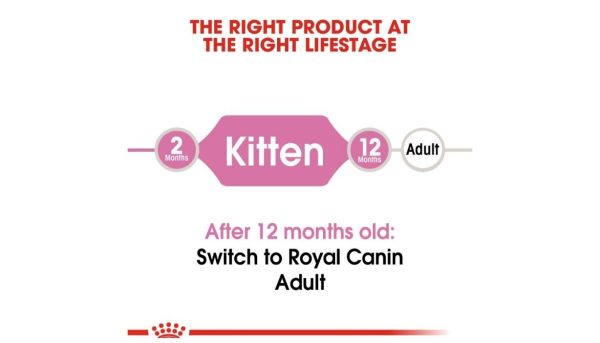 Royal Canin Kitten - Image 2