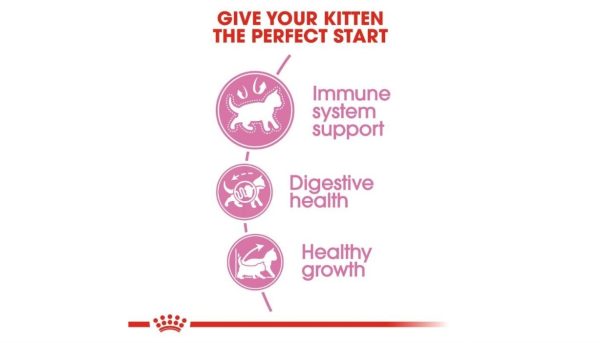 Royal Canin Kitten - Image 3