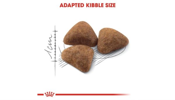 Royal Canin Indoor Cat - Image 6