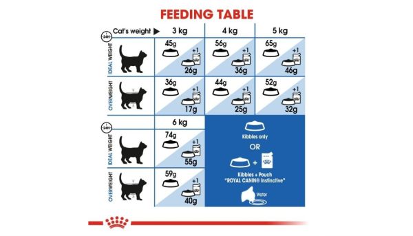 Royal Canin Indoor Cat - Image 4