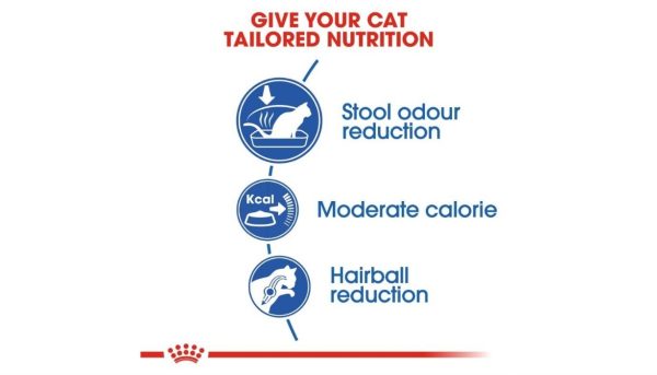 Royal Canin Indoor Cat - Image 3