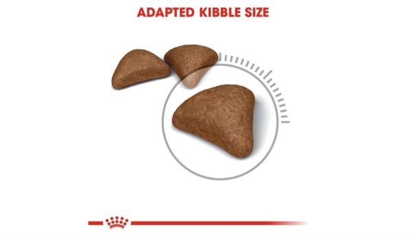 Royal Canin Hairball Care - Image 5