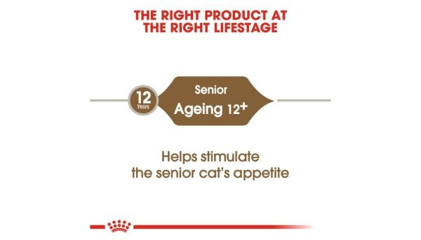 Royal Canin Ageing Cat - Image 3
