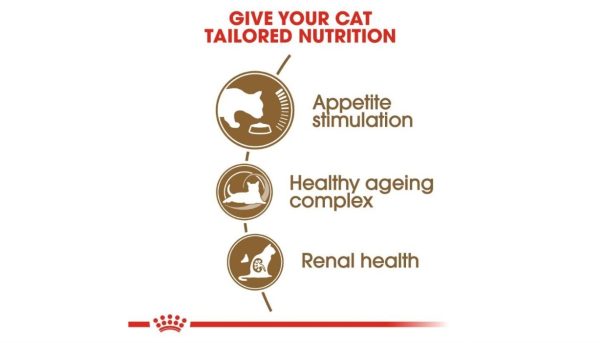 Royal Canin Ageing Cat - Image 4