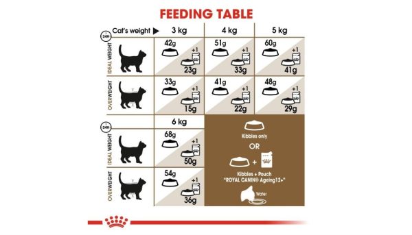 Royal Canin Ageing Cat - Image 2