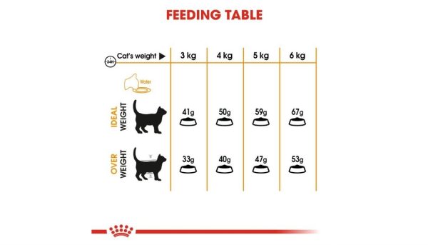 Royal Canin Hair & Skin - Image 3