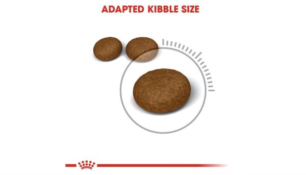 Royal Canin Hair & Skin - Image 4
