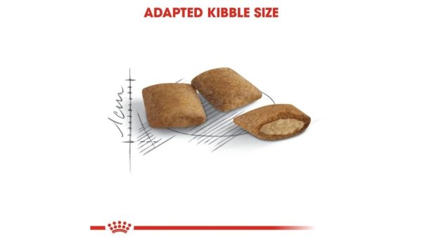 Royal Canin Ageing Cat - Image 5