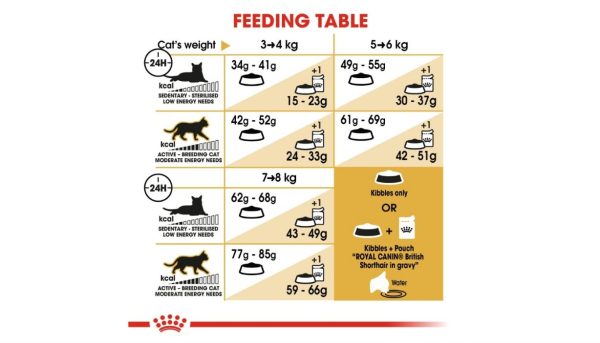 Royal Canin British Adult - Image 3