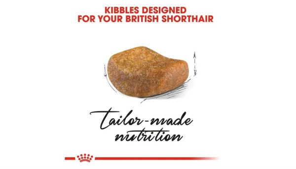 Royal Canin British Adult - Image 5