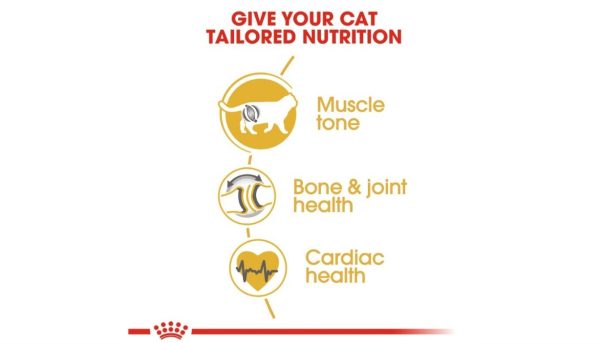 Royal Canin British Adult - Image 2