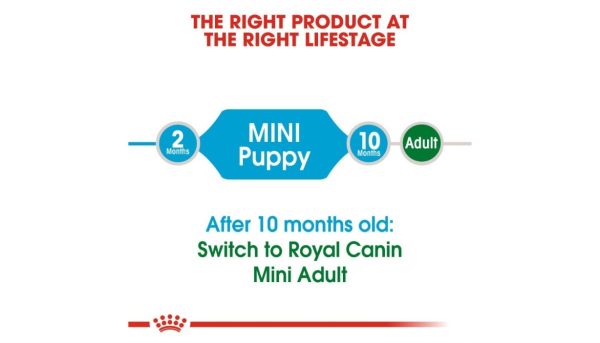 Royal Canin Mini Junior Dog's Food - Image 3