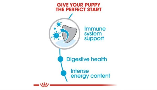Royal Canin Mini Junior Dog's Food - Image 2