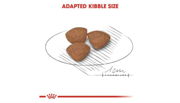Royal Canin Mini Junior Dog's Food - Image 5