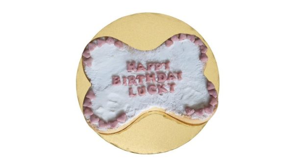 Homemade Dog's Cake - Image 4